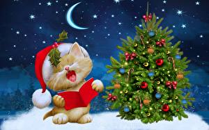 Christmas_Cats_Crescent_Stars_Winter_hat_Christmas_558481_300x187.jpg