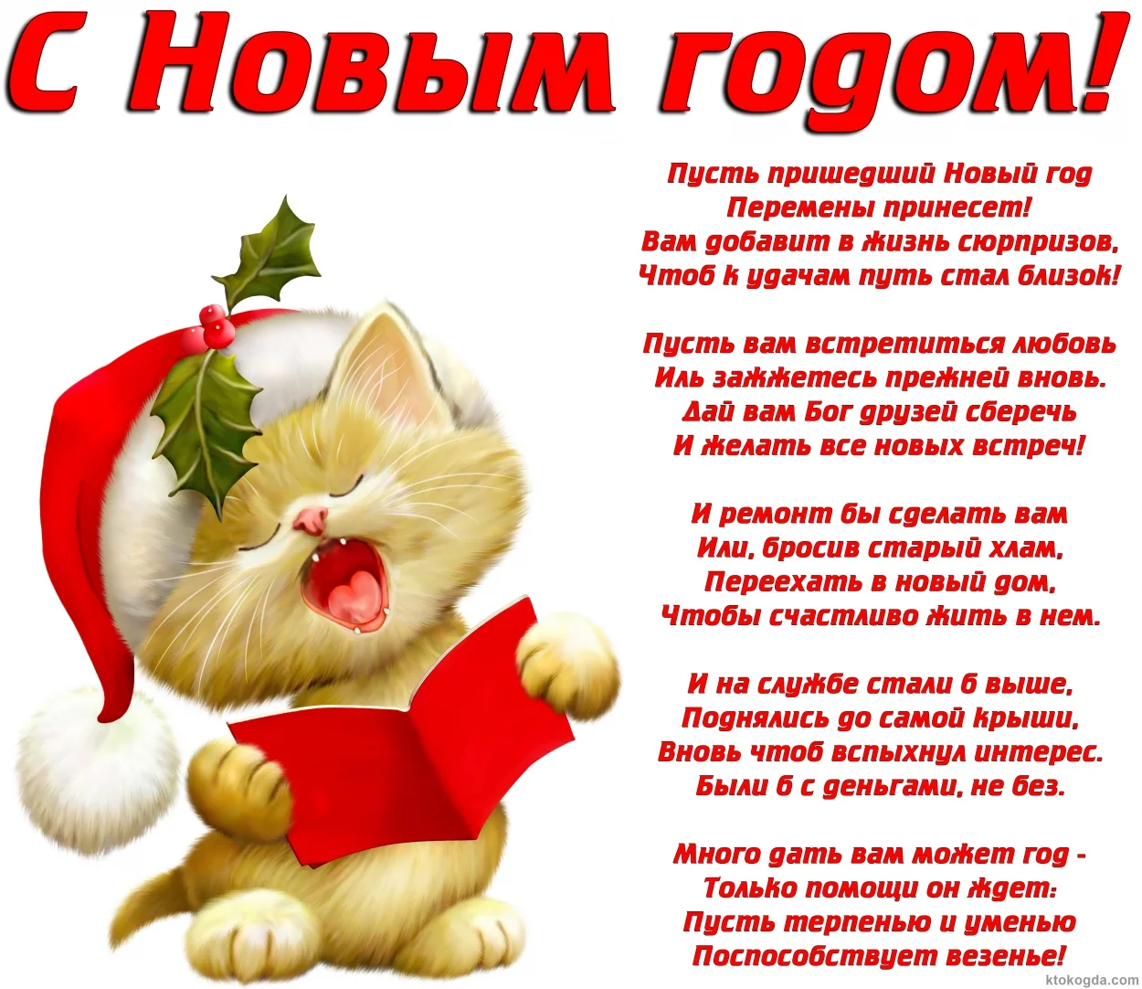 Christmascat.webp