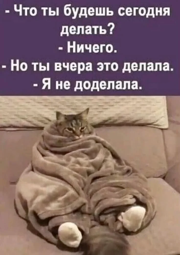 Что делаешь сегодня.webp