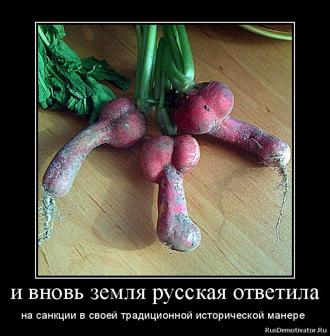 Что выросло.webp