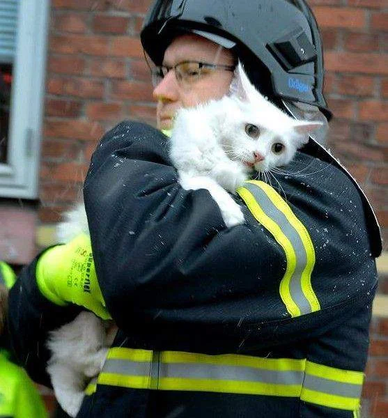 что же  так долго не приходил...webp