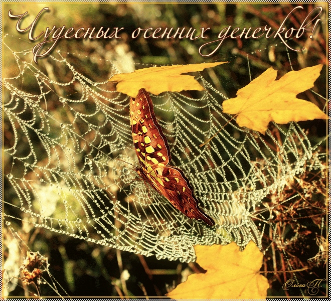 Чудесных-осенних-денечков.gif