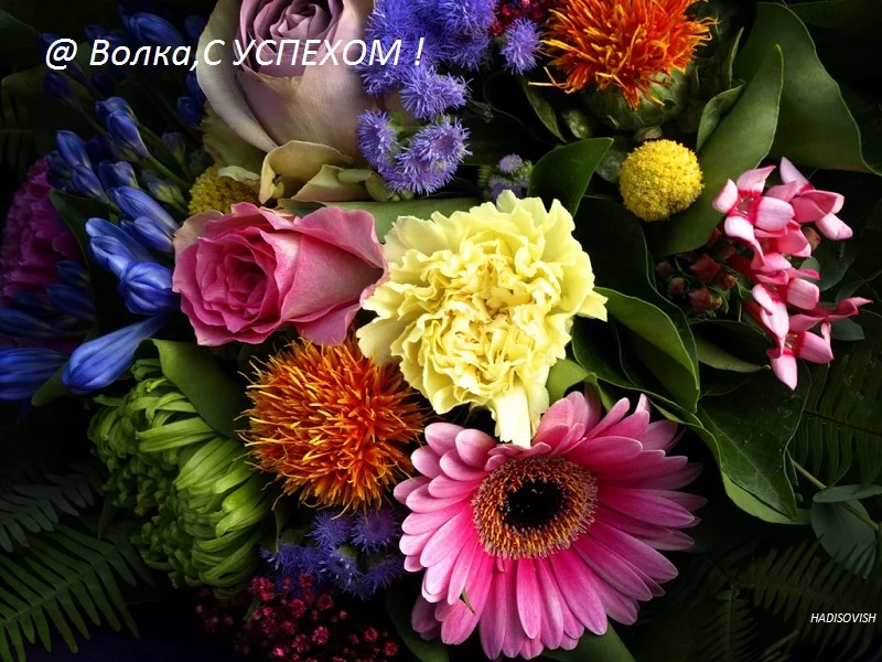 cicek_sepeti.webp