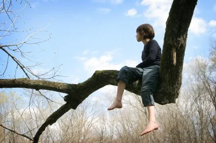climbing-tree1.webp