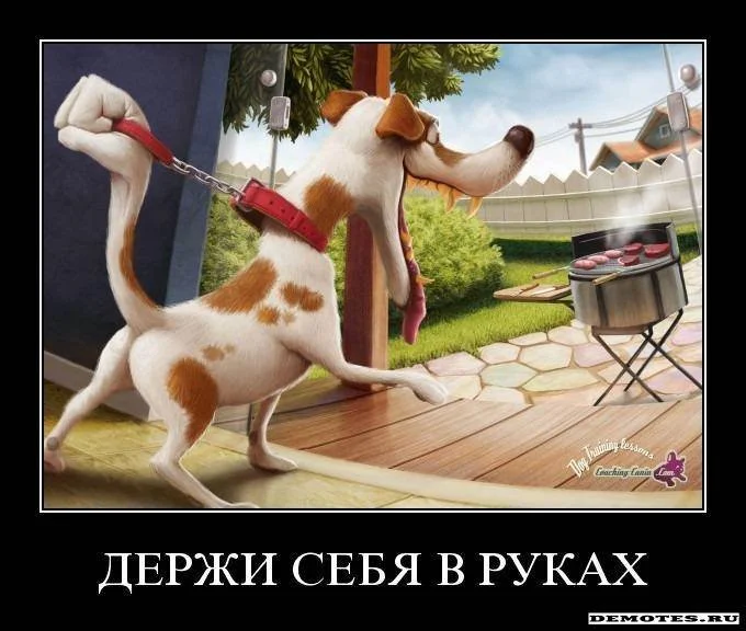 цобак27805.webp
