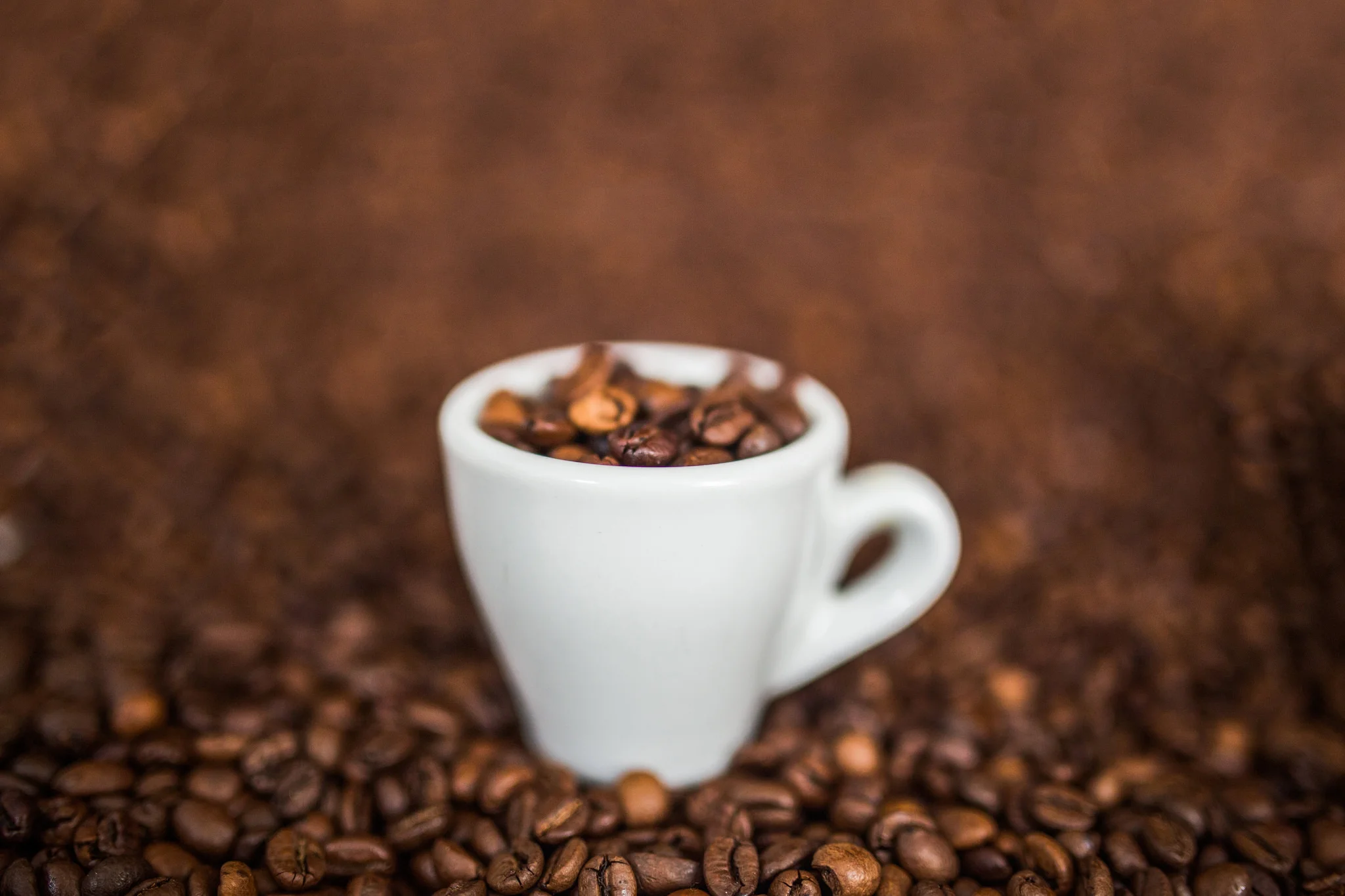 Coffee_Beans__StockSnap__22674135827.webp