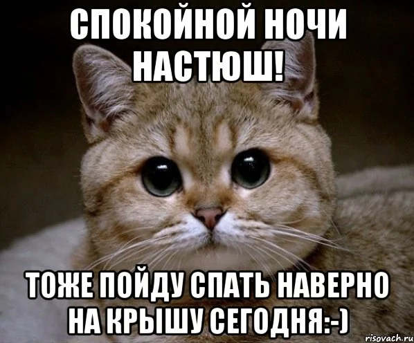 comics_Medvedev-spok-bro_orig_1324327357.webp