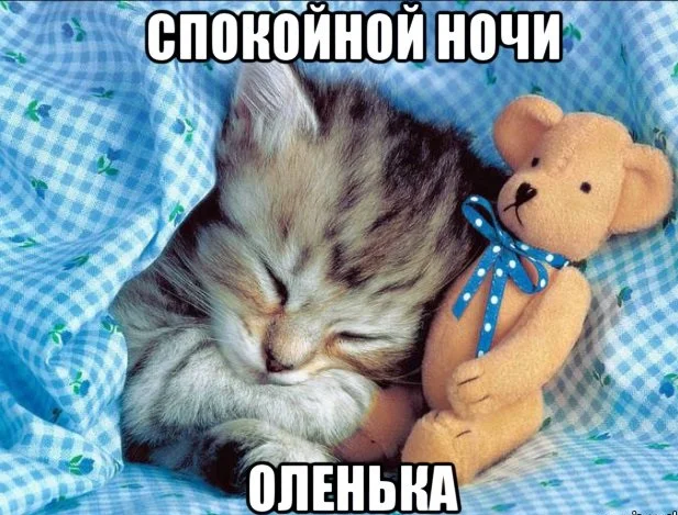comics_Medvedev-spok-bro_orig_1324327357.webp