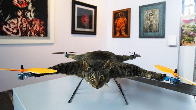 copter_www.rai77.ru.jpg