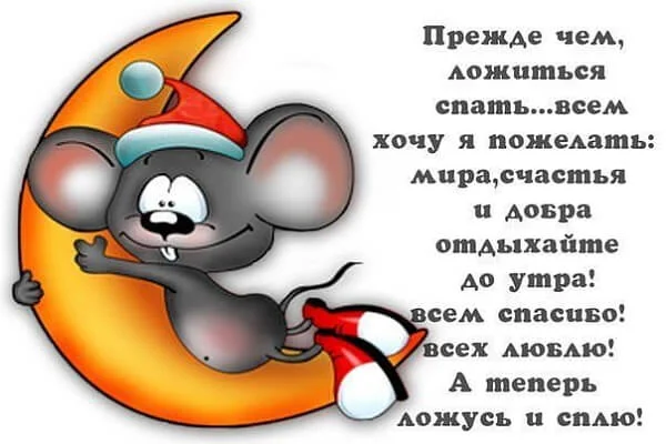 cpokojnoj-nochi-kartinki-prikolnye-smeshnye-87.webp