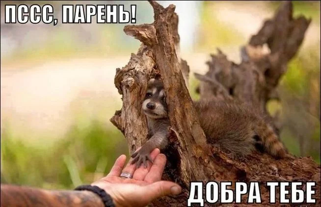 cqirswGHJXE.webp