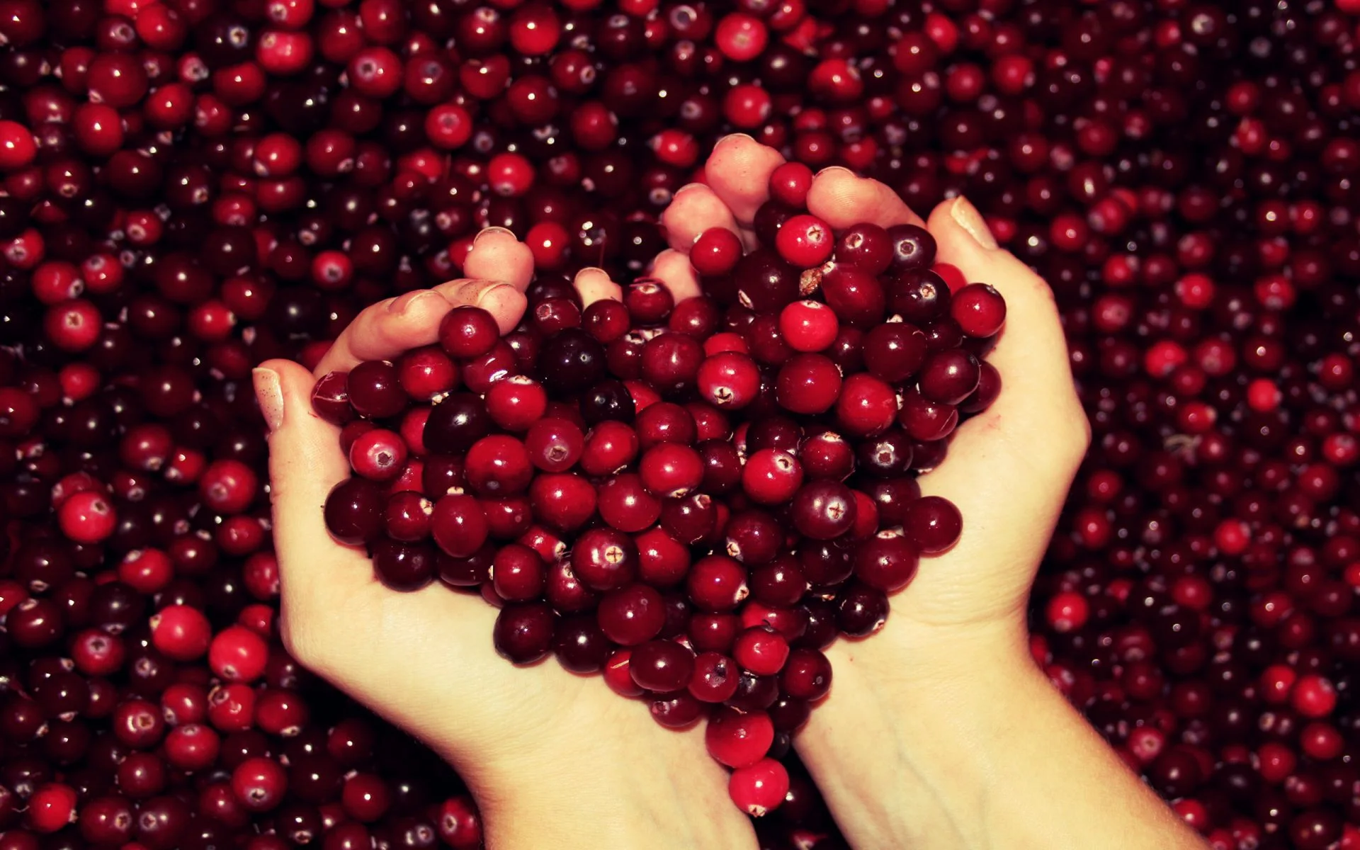 cranberry_heart.webp