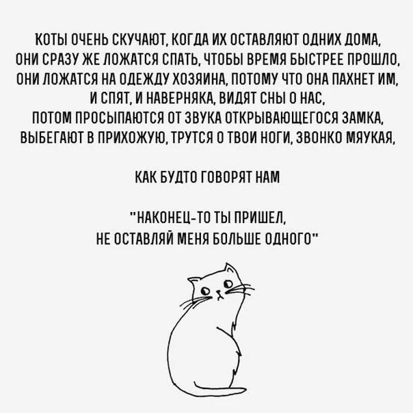CRdrXR_gBRM.webp