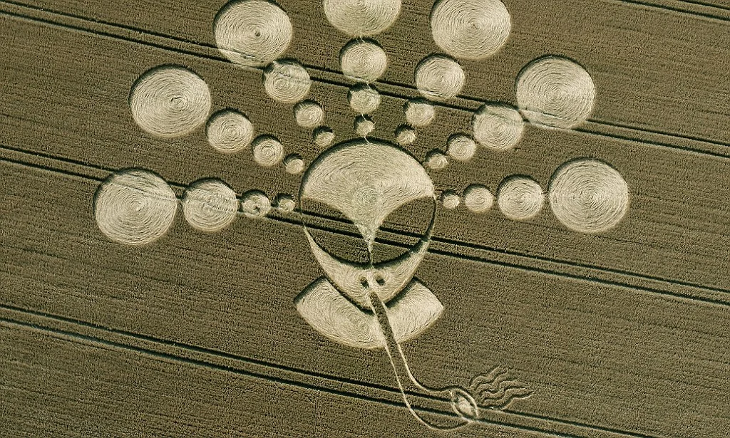 crop-circle-that-depicts-an-alien-face-smoking-a-pipe-is-good.webp
