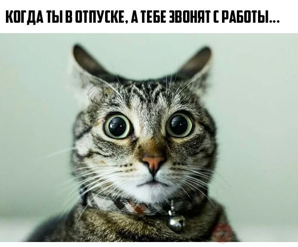 CRYBbRbYsng.webp