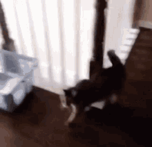cta-cat.gif