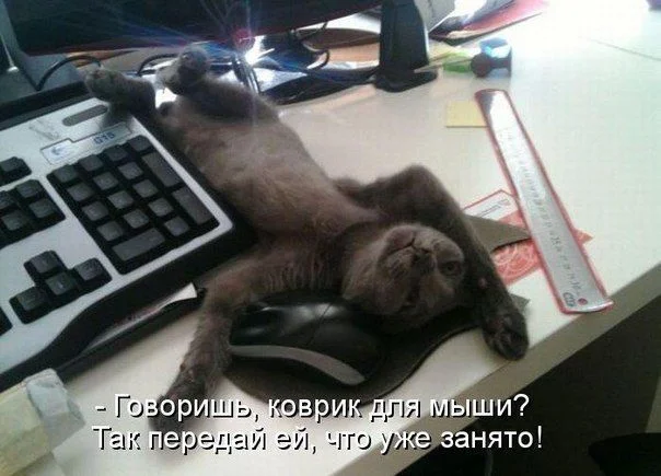 cTZywJSfcr0 (1).webp