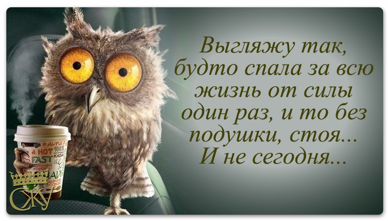 cu30lHo5MiU.jpg