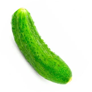 cucumber1.webp