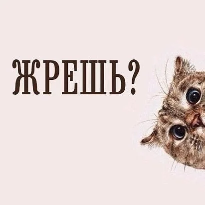 cUdgN3hv46Q.webp