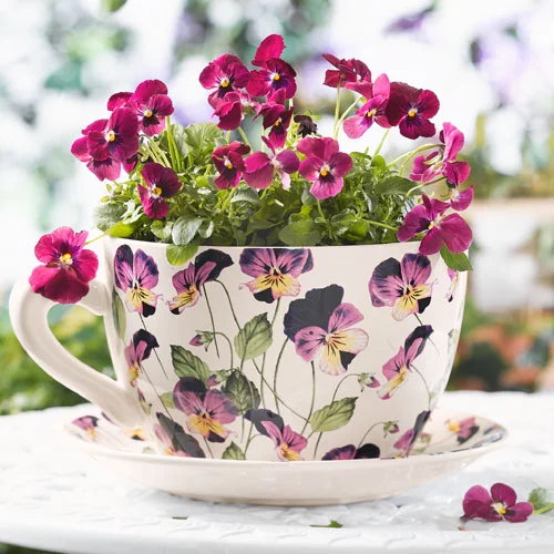 Cup_flowers.webp