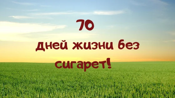 Cupcake chronicles_ choco-cherry.webp