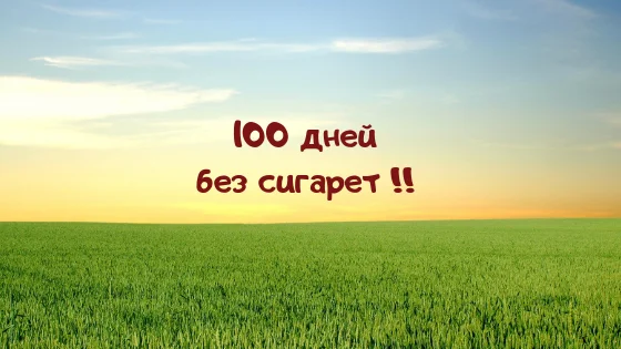 Cupcake chronicles_ choco-cherry.webp