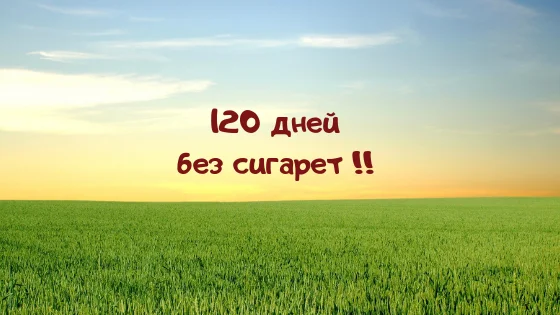 Cupcake chronicles_ choco-cherry.webp