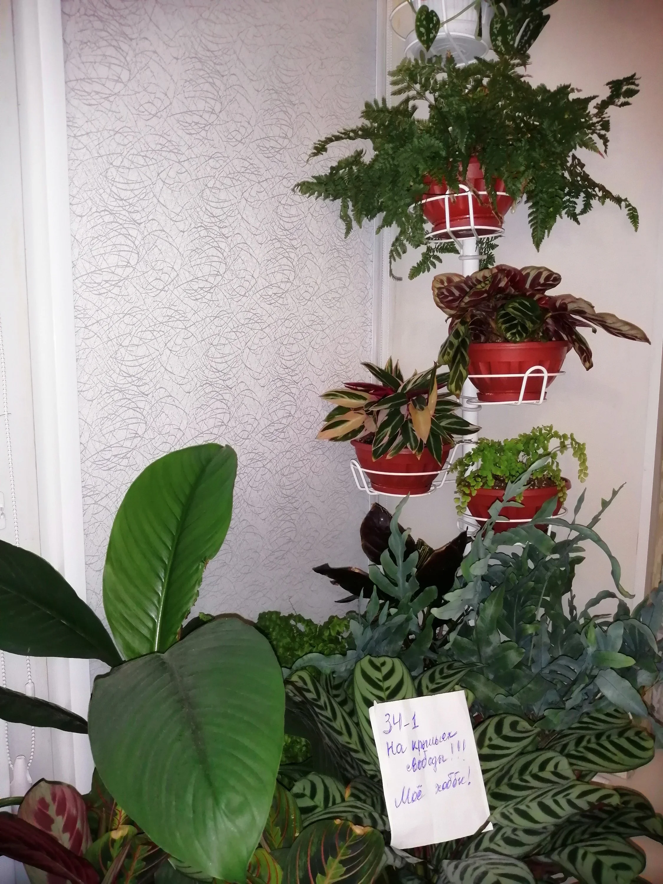 цв булочка (1).webp