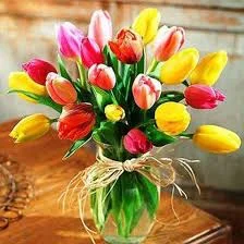 цв4.webp