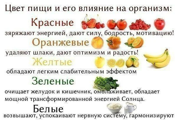 цвет пищи.webp