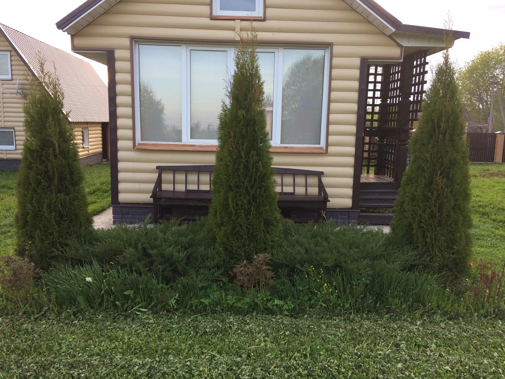 цветник 2,05,17.webp