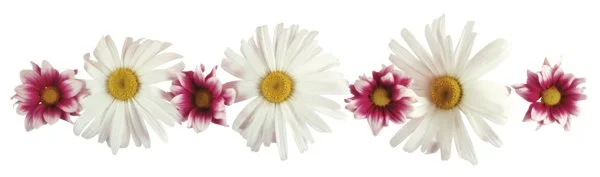 цветочки 19.webp