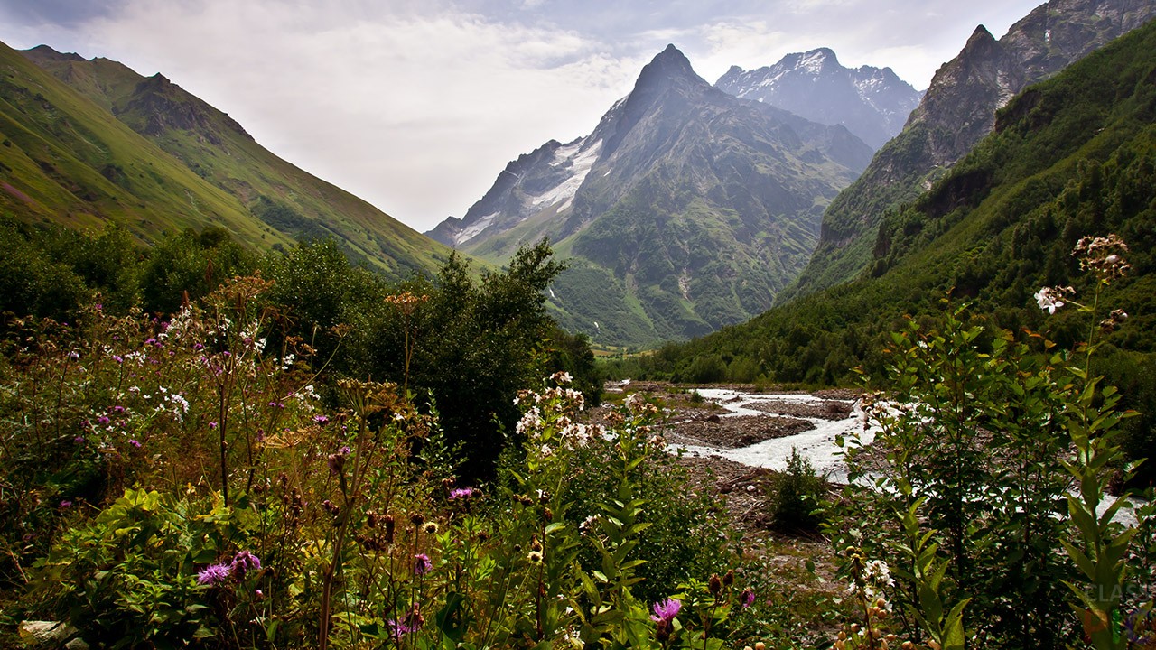 cvetushhij-bereg-gornoj-rechki-v-okrestnostjah-dombaja.jpg