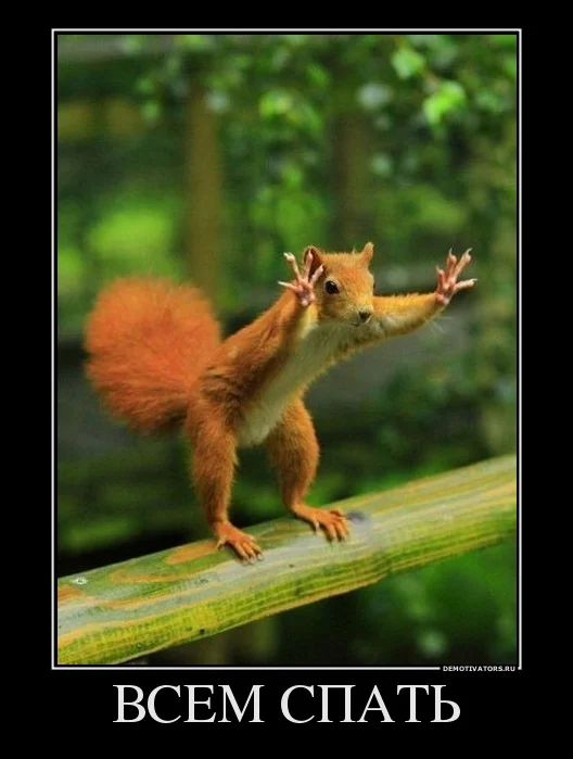 cвсем спать.webp