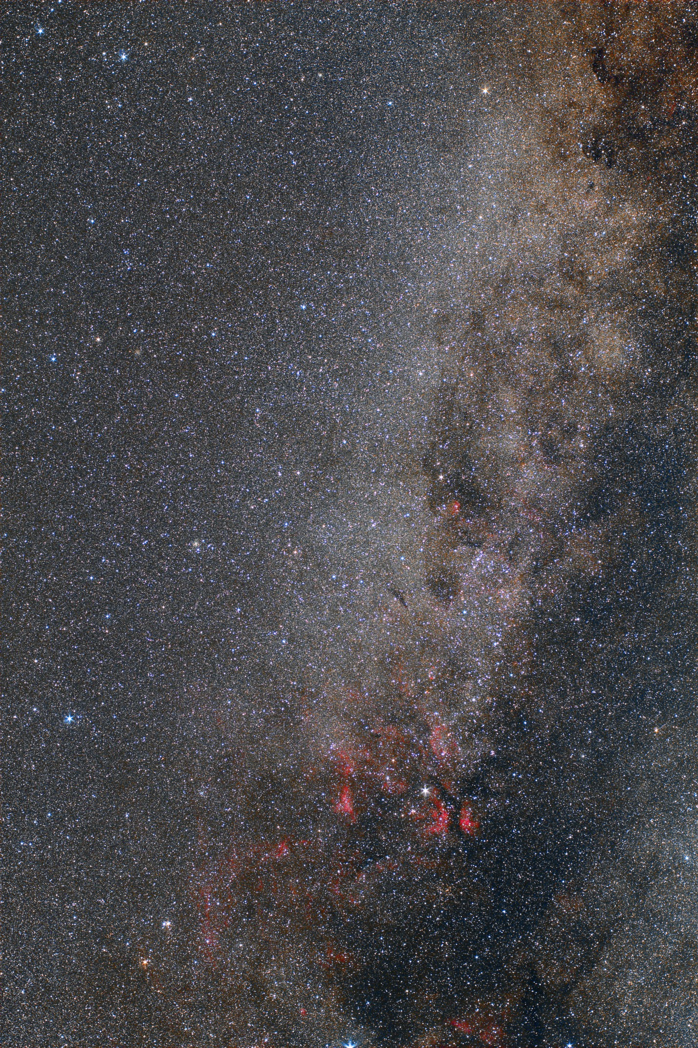 cygnus_50.jpg