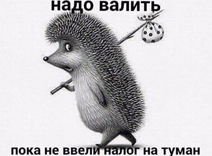 CZs-bBBuNPw.jpg
