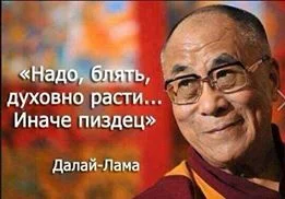 d-lama.webp
