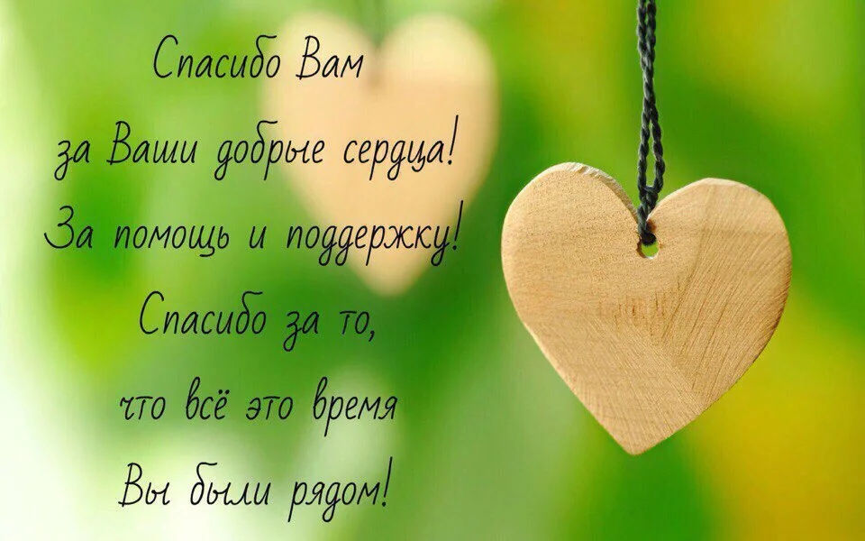 d008YMbebaQ.webp