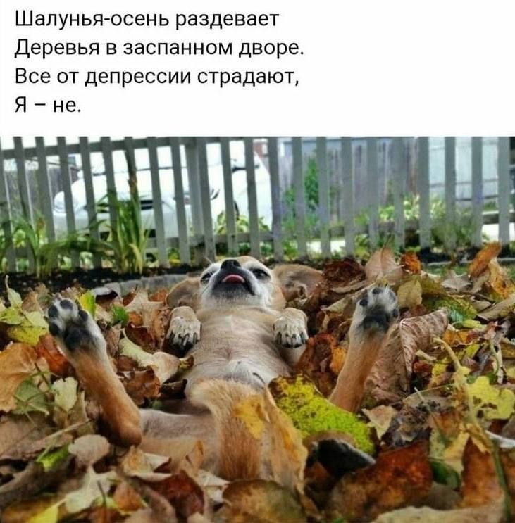 d0e9b53eb39f6cd03c1fe10e7355ebc2.jpg