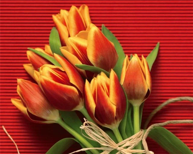 d14ef10e9e86.webp