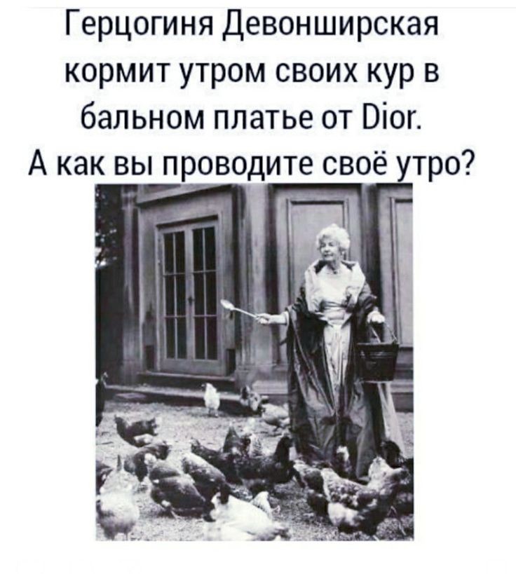 d16925764f46b082c6db544cc6078beb.jpg