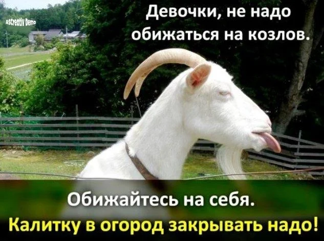 d1cb0b0a-17ed-499a-82d4-0b2dd9cbf94b.webp