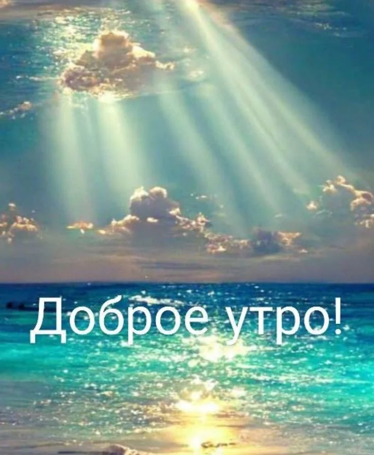 d2688045302084ec4aba609f4de1e9b3.webp