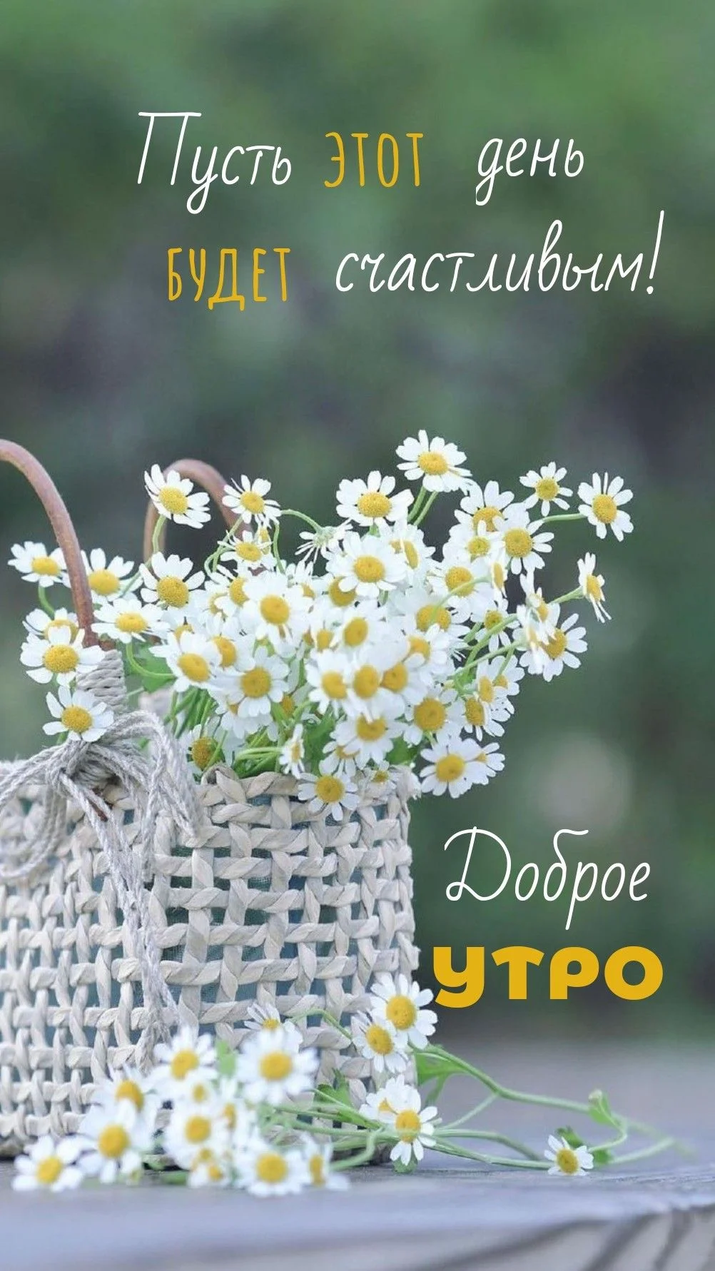 d2e9f5065f83f78b3185498ba62cb68a.webp