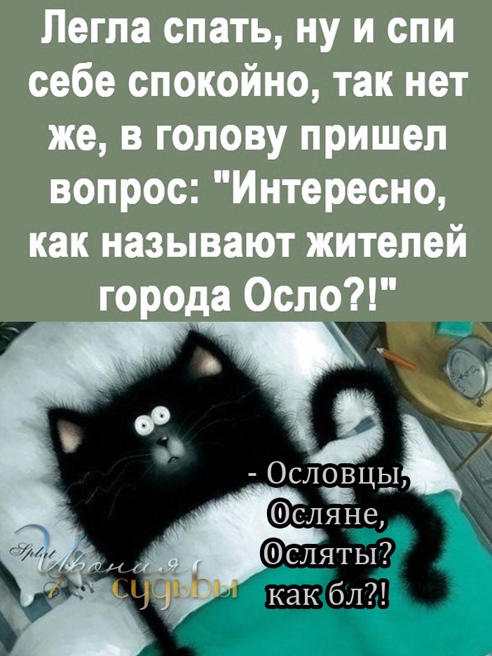 D3C51A9C-5DE1-422D-BF3D-C483CD7EE743.jpeg