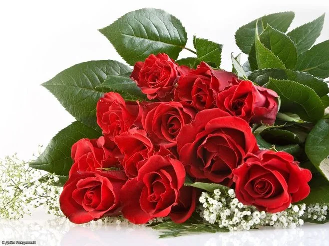 d468048c4c4f7448de8c520c949318da.webp