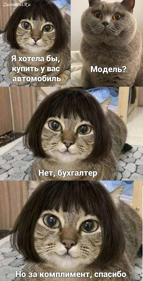 D632187B-9826-4E26-9921-984455321044.jpeg
