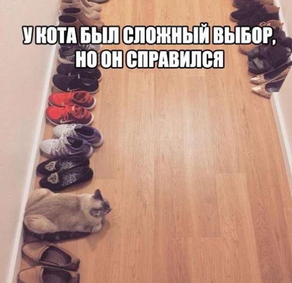 D6A184AB-3AE1-4732-87DA-EEC7B8499276.jpeg