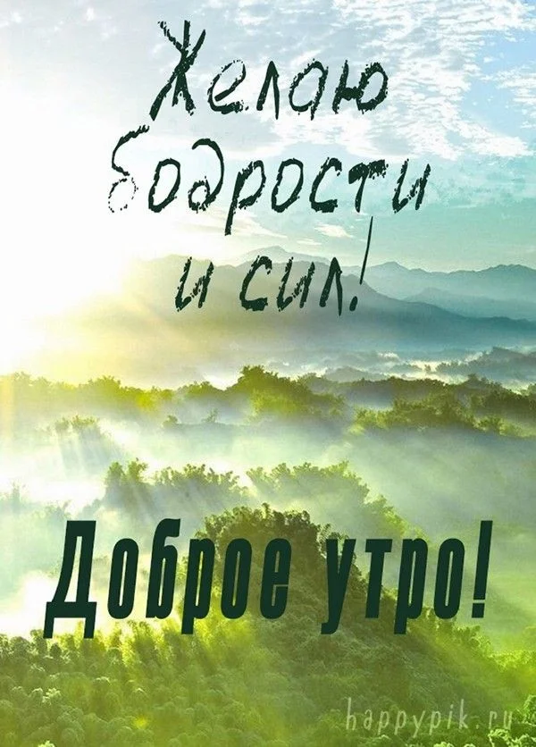 d71f3f77a16c33691d1f4c042b6ff4de.webp